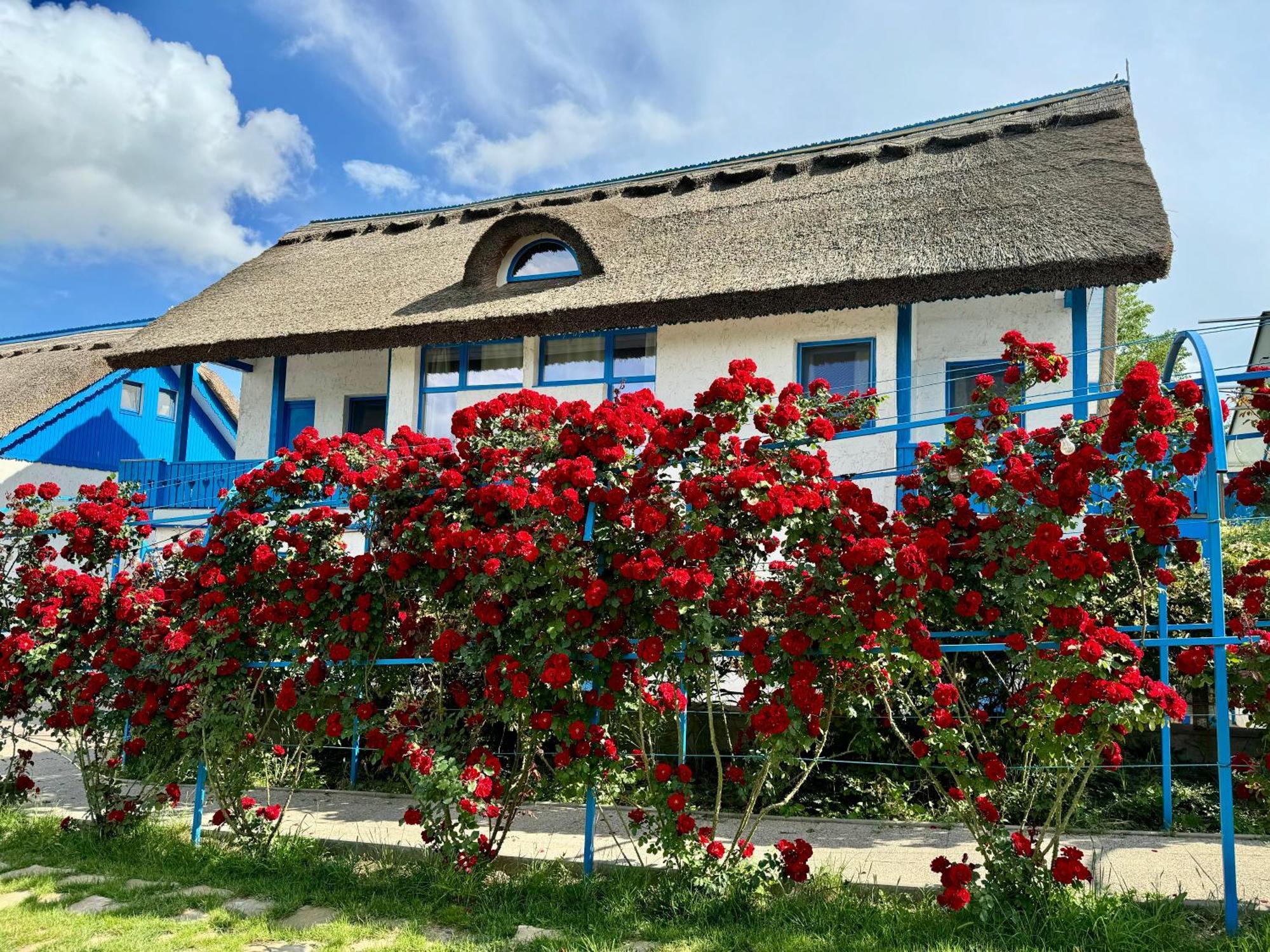 Nena Art Resort Dunavăţu de Jos Esterno foto