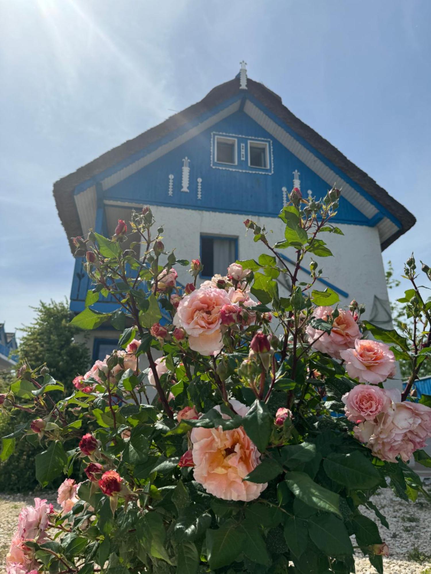 Nena Art Resort Dunavăţu de Jos Esterno foto