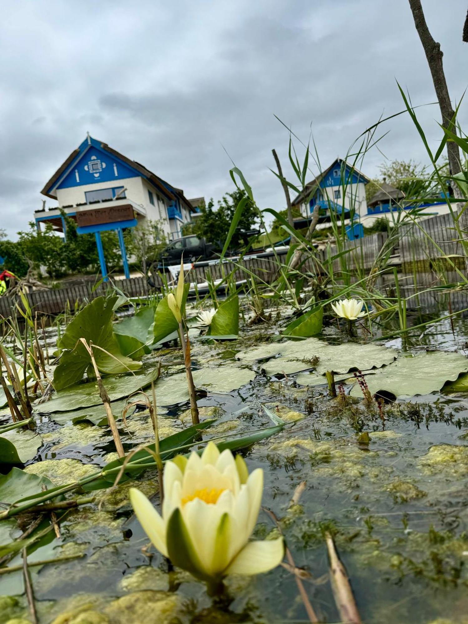 Nena Art Resort Dunavăţu de Jos Esterno foto